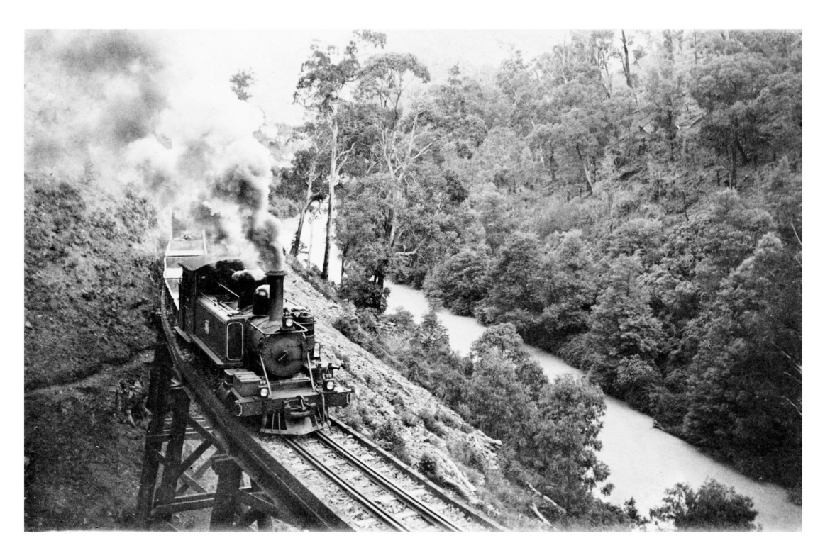 Walhalla Goldfields Railway - Thomson Valley Gorge